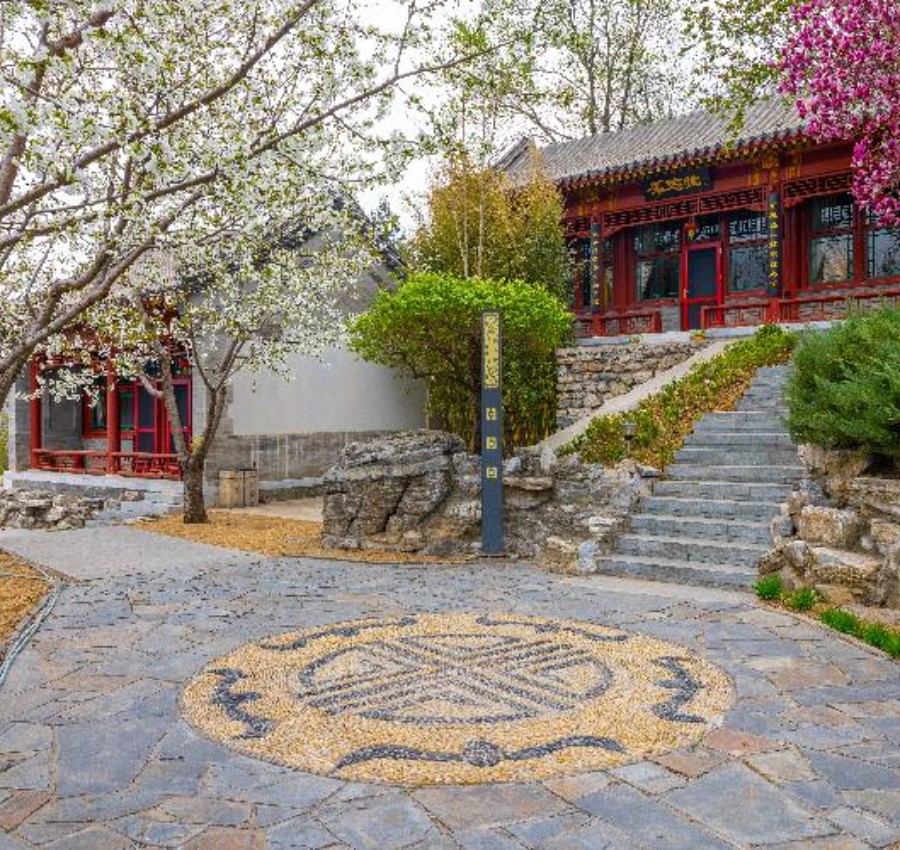 庭院
